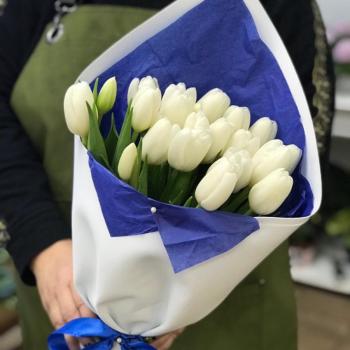 Белые тюльпаны 23 шт. артикул букета   358314
