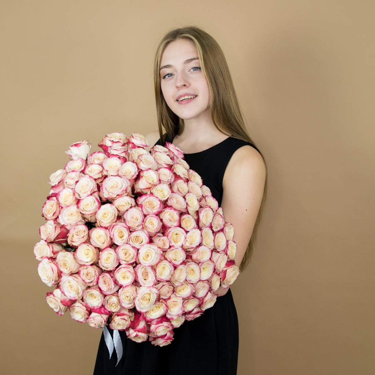 Розы красно-белые (40 см) Эквадор артикул: 534