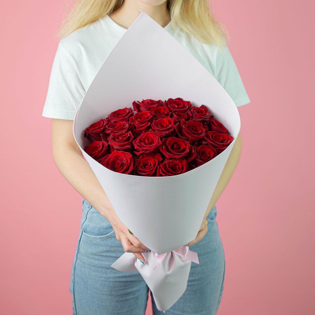 Розы Эквадор 40 см (Красный)